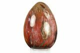 Colorful, Polished Petrified Wood Egg - Madagascar #282377-1